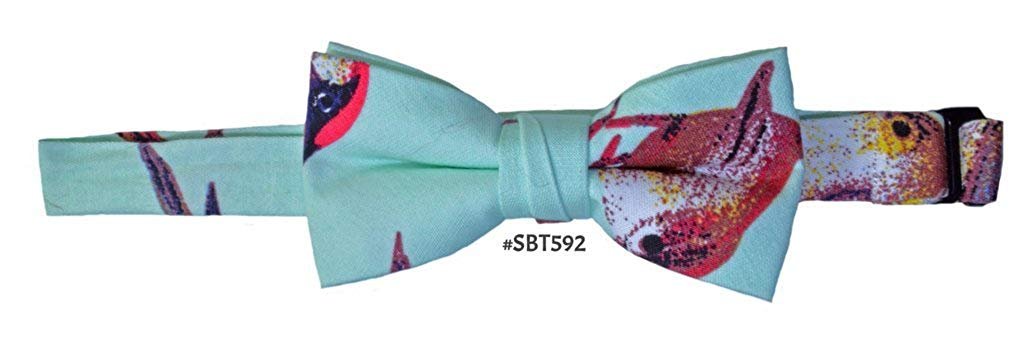 Isaac Mizrahi Boy's Cotton Ties & Bowties - Available in many designs